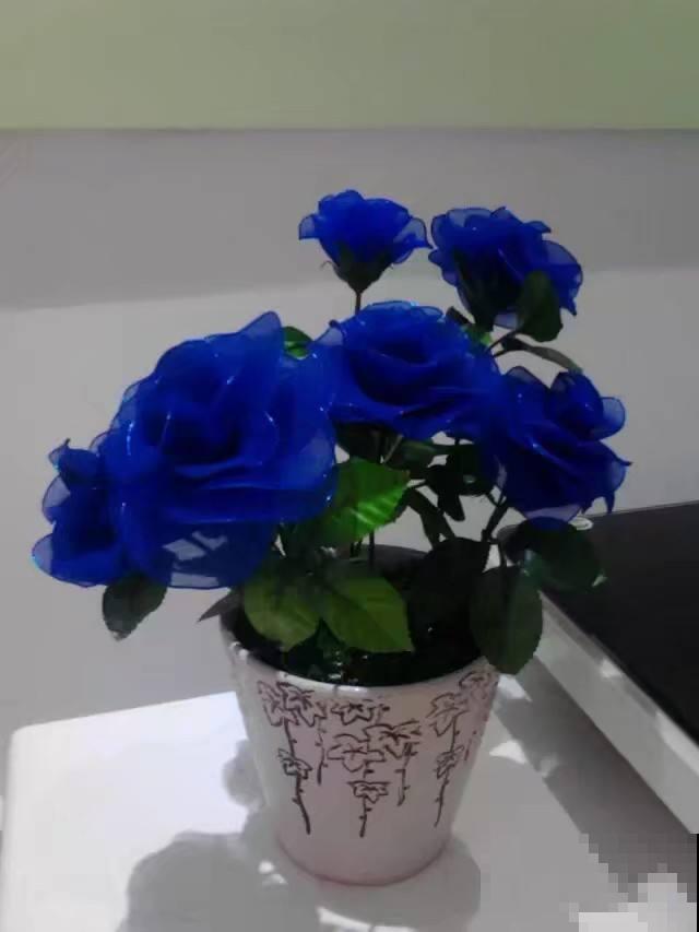 又是一年七夕,别只会送红玫瑰啦!这6种花,送给她更合适 又是一年七夕,别只会送红玫瑰啦!这6种花,送给她更合适