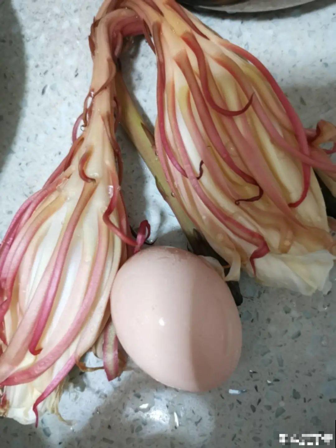 家门口的木槿花，裹上面炸一炸，外酥里嫩香喷喷