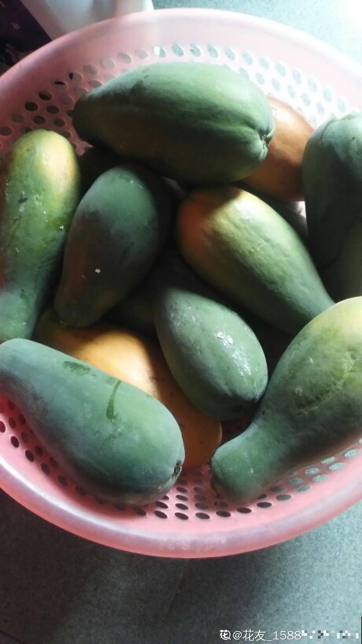 老中医爱养的60种植物，图文并茂特详细，种一盆养人养身心