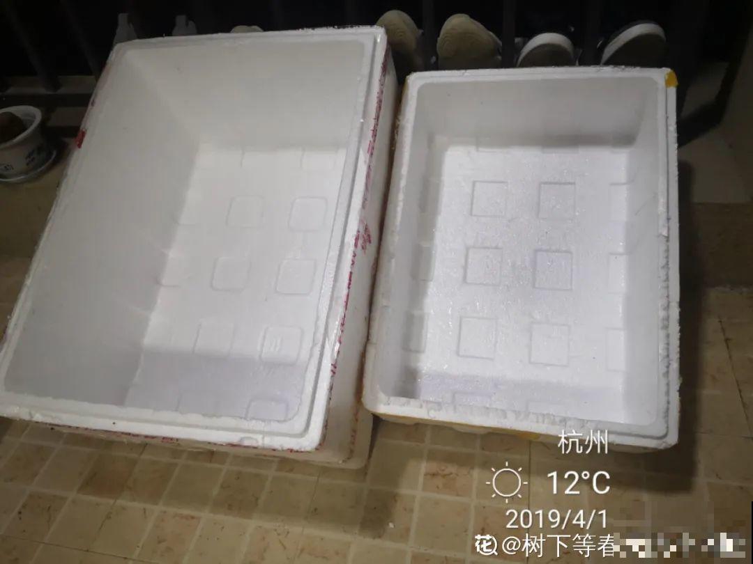 8种花，越热越扦插，大白根呼呼冒