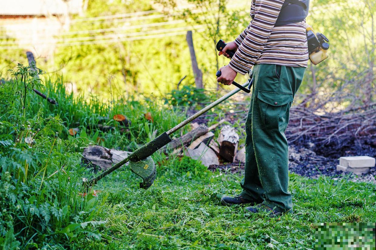 羊角瓜秧怎样打叉？