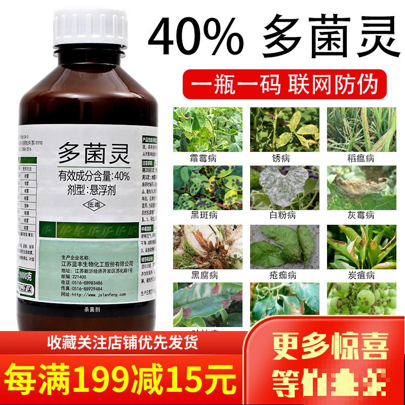 养花7年,居然找到了植物的“财富密码”,4种花“越养越赚钱” 养花7年,居然找到了植物的“财富密码”,4种花“越养越赚钱”