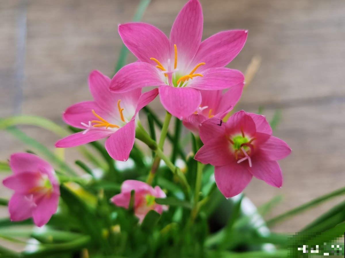 10个人生道理，年过半百的人更能理解，你赞同吗