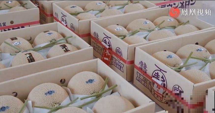 15万块钱的一个蜜瓜，到底有多好吃？