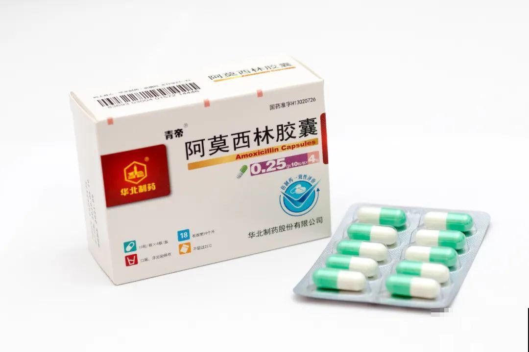 给花喂点小药片,植物开花多,越长越壮 给花喂点小药片,植物开花多,越长越壮