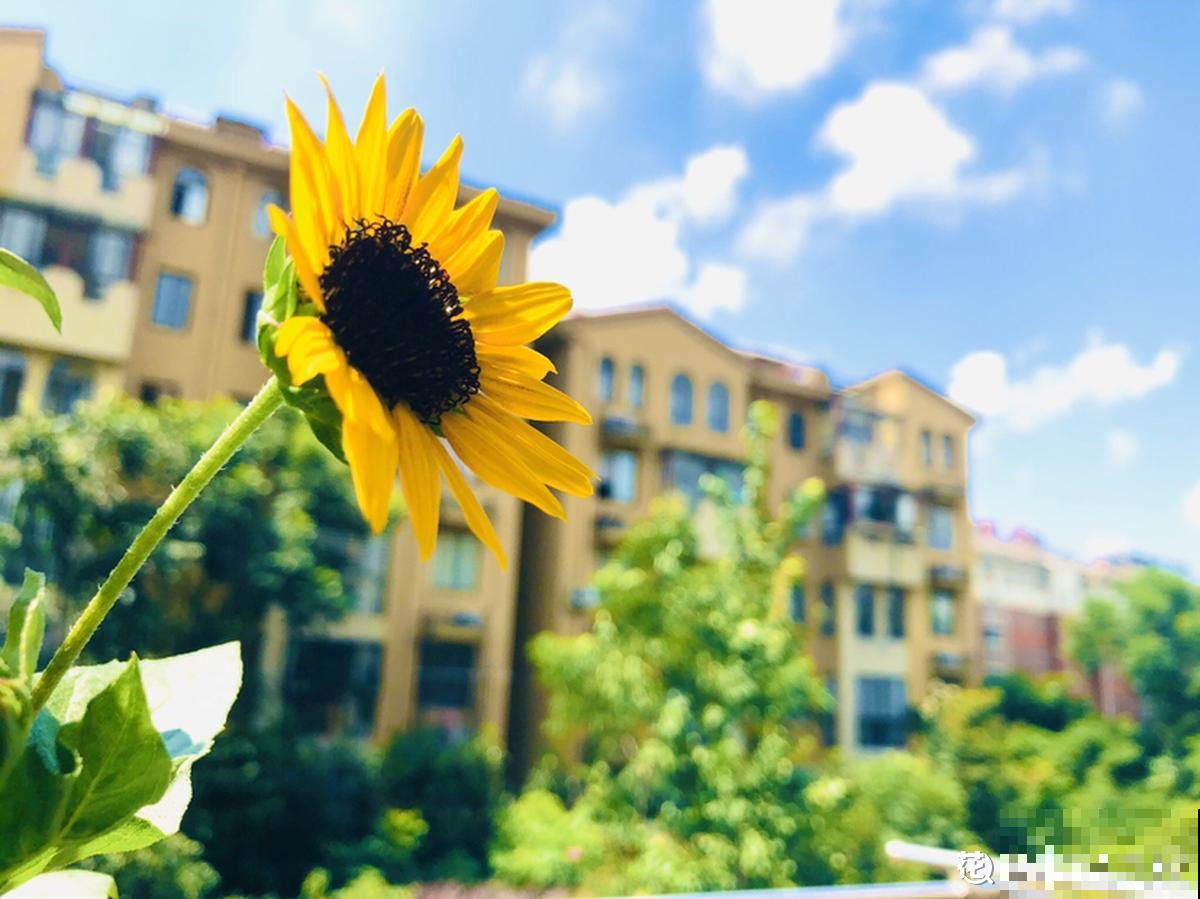 人的年纪越大，4件事情更要想开，生活才会更加如意