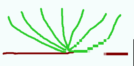 天热要修剪的花，不剪死得快，活不过夏天