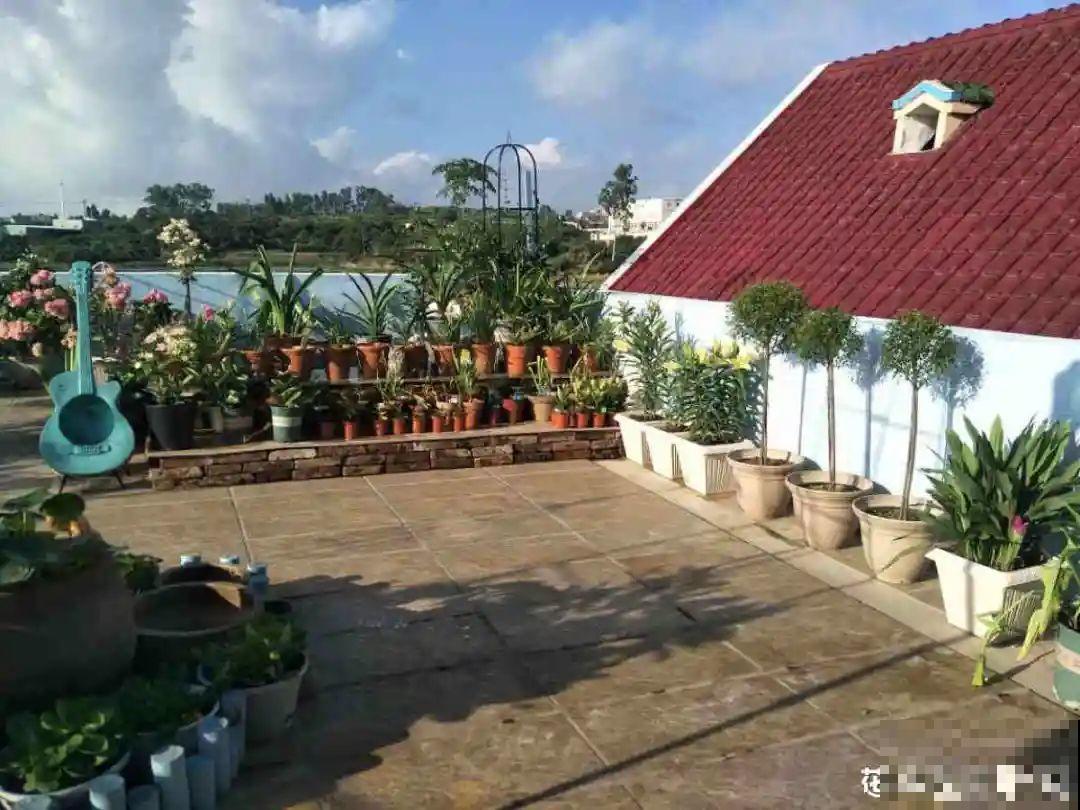 天台花园VS低层庭院,哪里养花更方便? 天台花园VS低层庭院,哪里养花更方便?