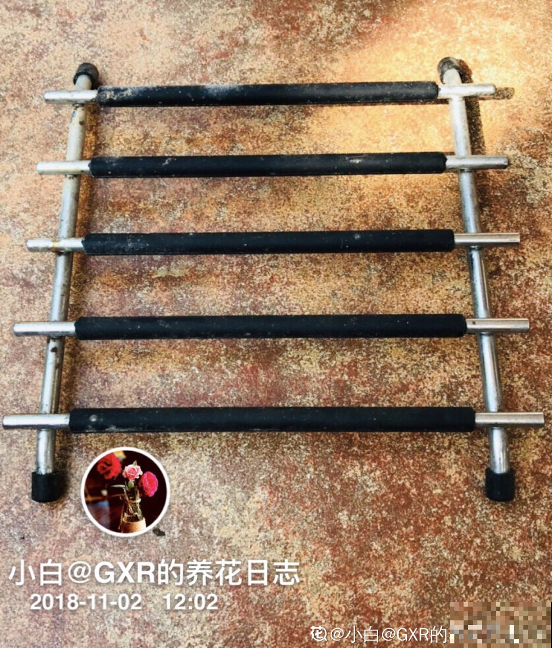 旧筷子、老干妈瓶别扔，拿来养花效果好，省下一笔养花钱