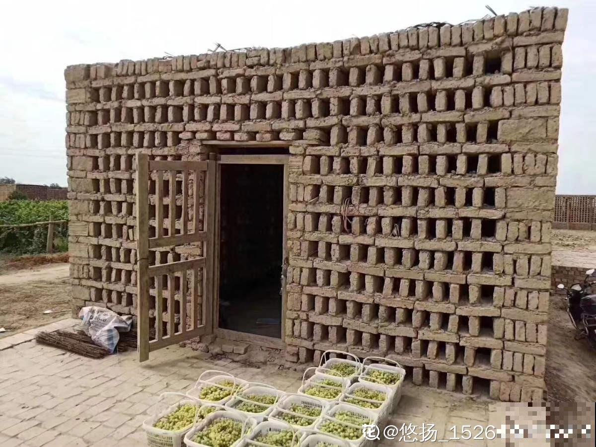 2种方法自制葡萄干，吃起来放心，成就感满满