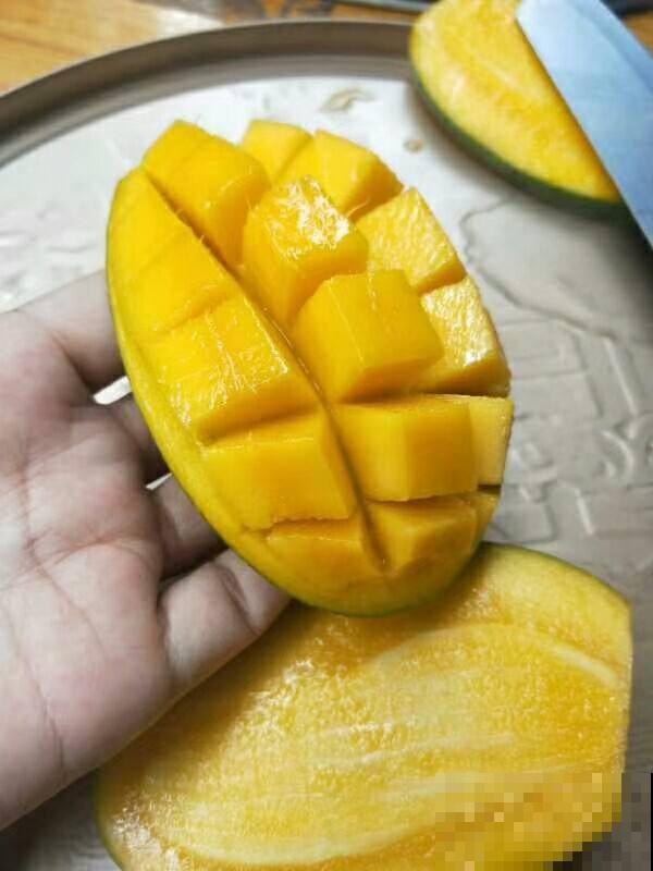 4个植物冷知识,还真是头一回听说,真神奇! 4个植物冷知识,还真是头一回听说,真神奇!