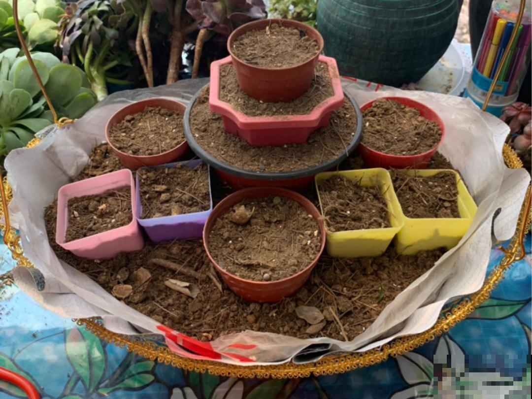 9种土别拿来养花,对花不好,容易黄叶烂根 9种土别拿来养花,对花不好,容易黄叶烂根