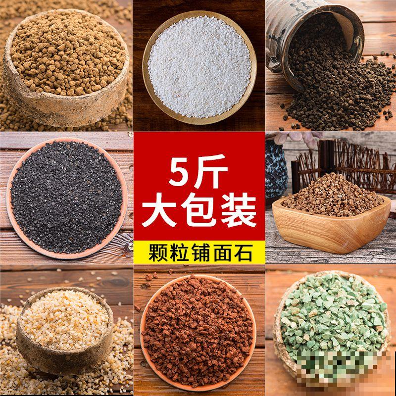 需要“穷养”的3种花，盆越小，水越少，长得越壮实