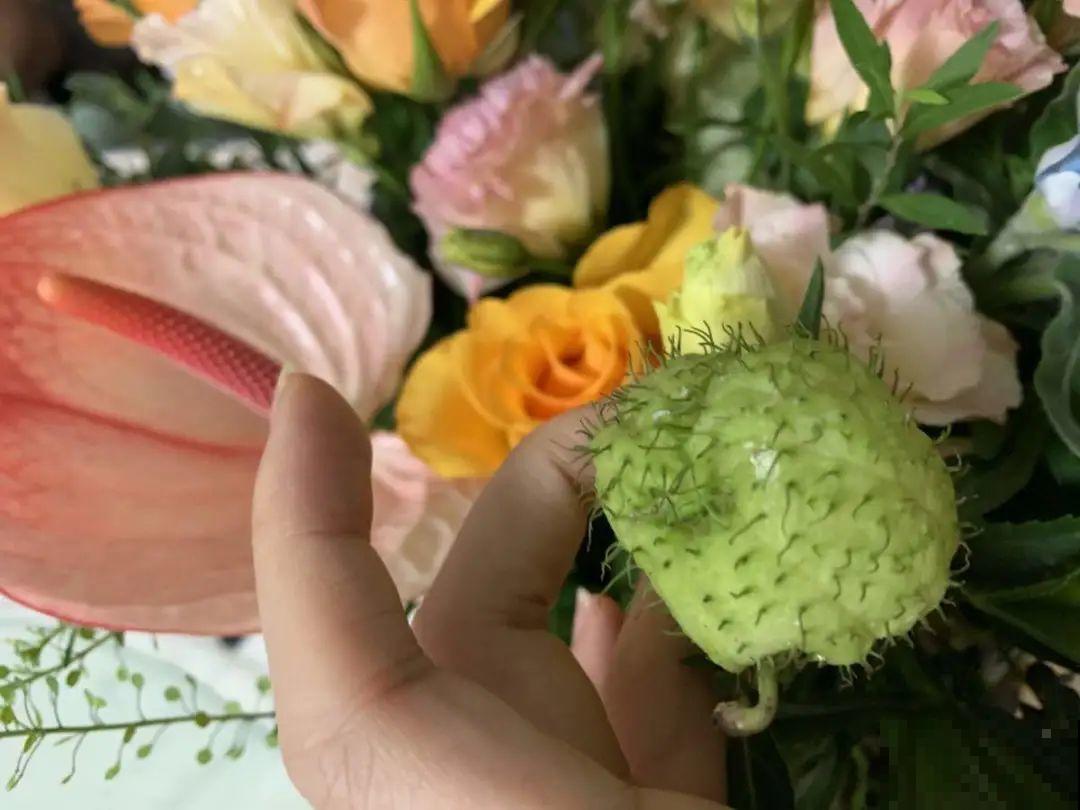 水塘边长出的“烤肠”,原来叫香蒲,毛茸茸特好玩 水塘边长出的“烤肠”,原来叫香蒲,毛茸茸特好玩