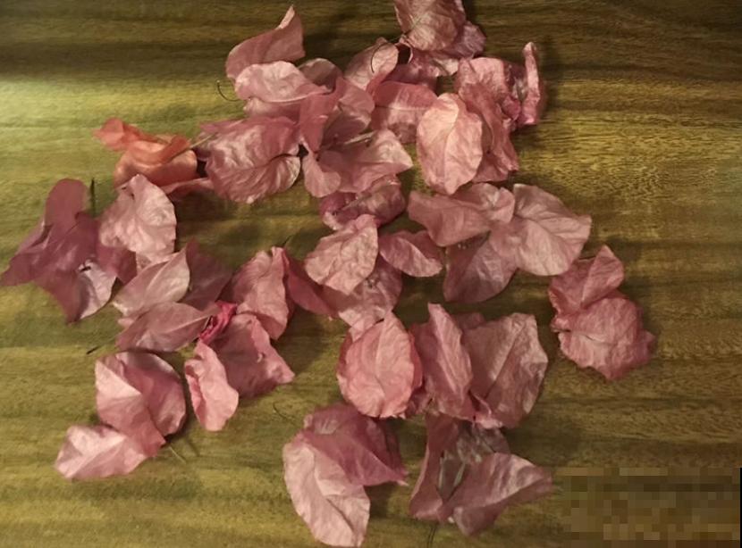 鲜花做成干花，颜色质感有特点，还可以放在家中点缀