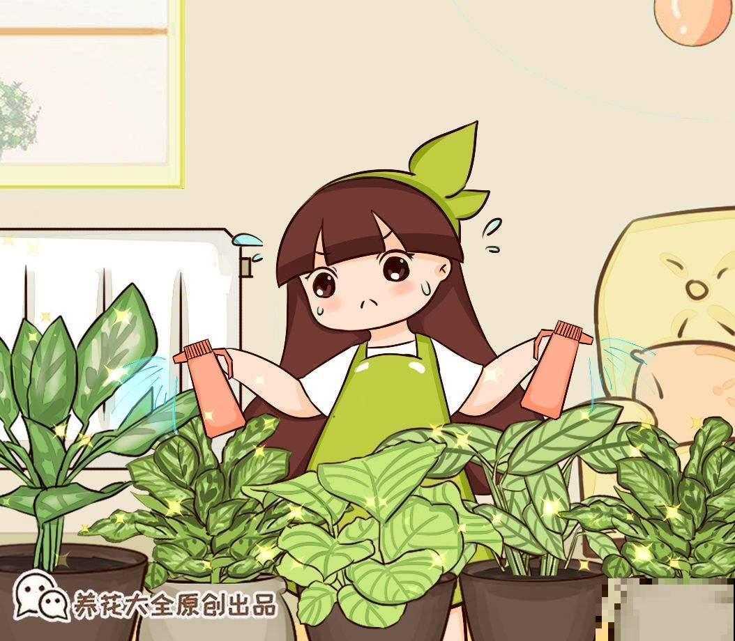 3个步骤，让你的植株远离“不开花”，进来看看吧