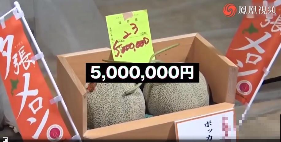 15万块钱的一个蜜瓜，到底有多好吃？