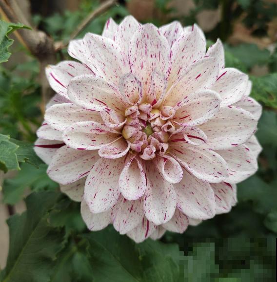 人的年纪越大，4件事情更要想开，生活才会更加如意