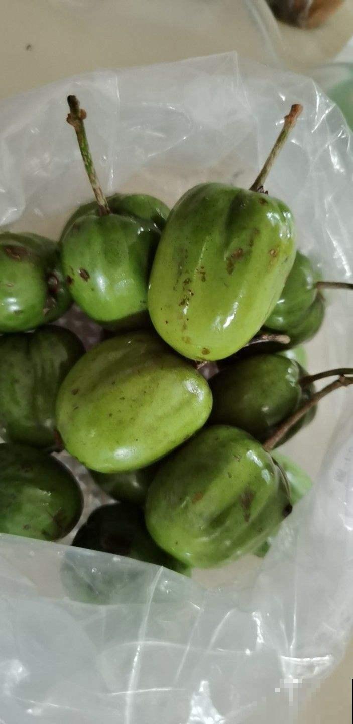 养护软枣猕猴桃，3个方面要牢记，果子结满枝条