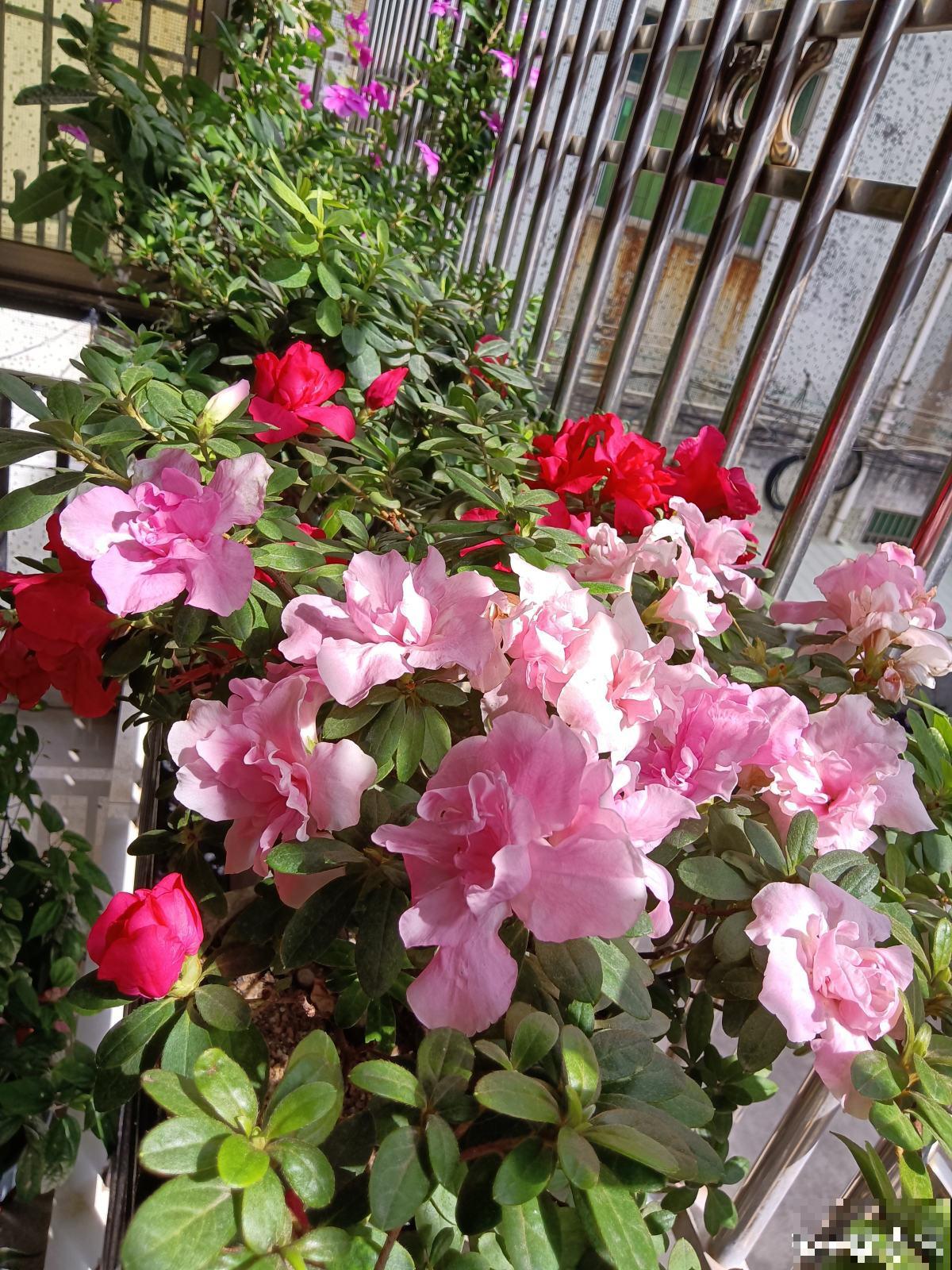 10个人生道理，年过半百的人更能理解，你赞同吗