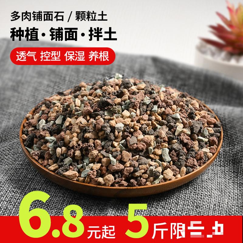 高温预警，先别种这4种花，夏天养好算我输