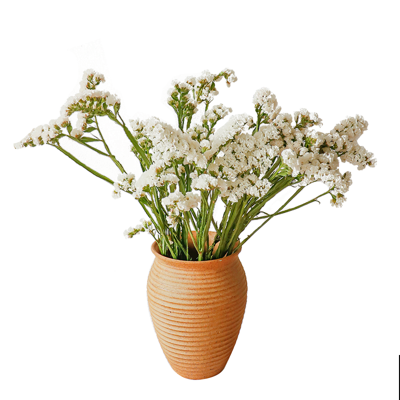 又是一年七夕,别只会送红玫瑰啦!这6种花,送给她更合适 又是一年七夕,别只会送红玫瑰啦!这6种花,送给她更合适