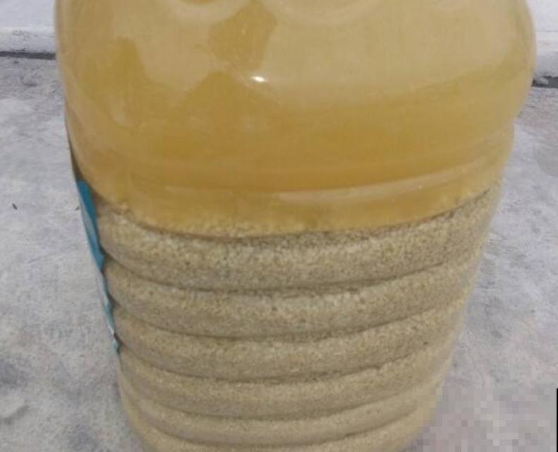 农村常见的饲料，拿来养花，枝叶特健壮