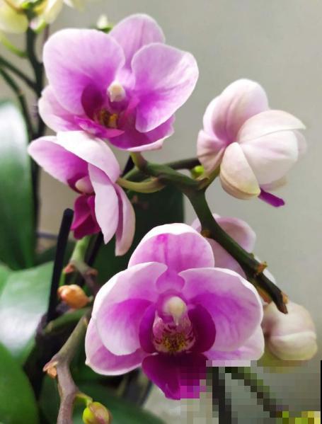 人的年纪越大，4件事情更要想开，生活才会更加如意