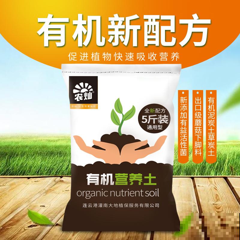 真正适合养花的院子，都有4个特点，利用好了院子变花园