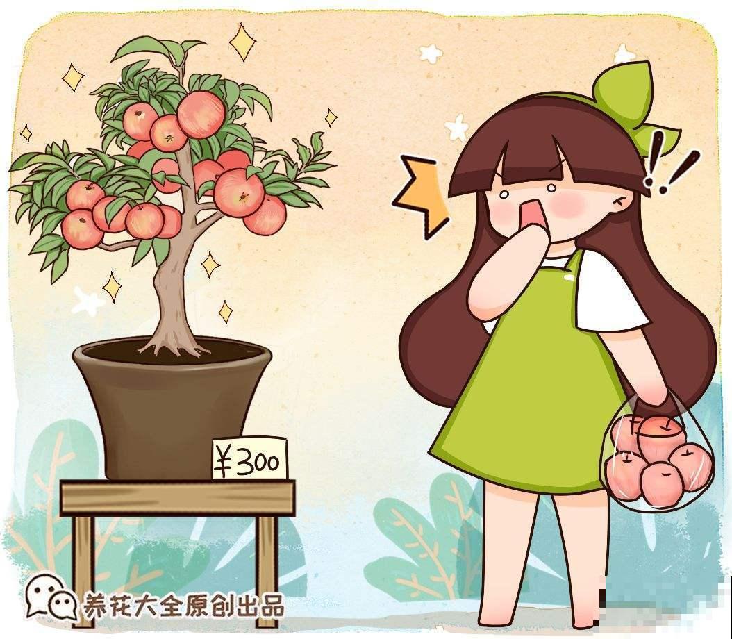 水果太甜含糖多？3种常见水果，好吃还不胖