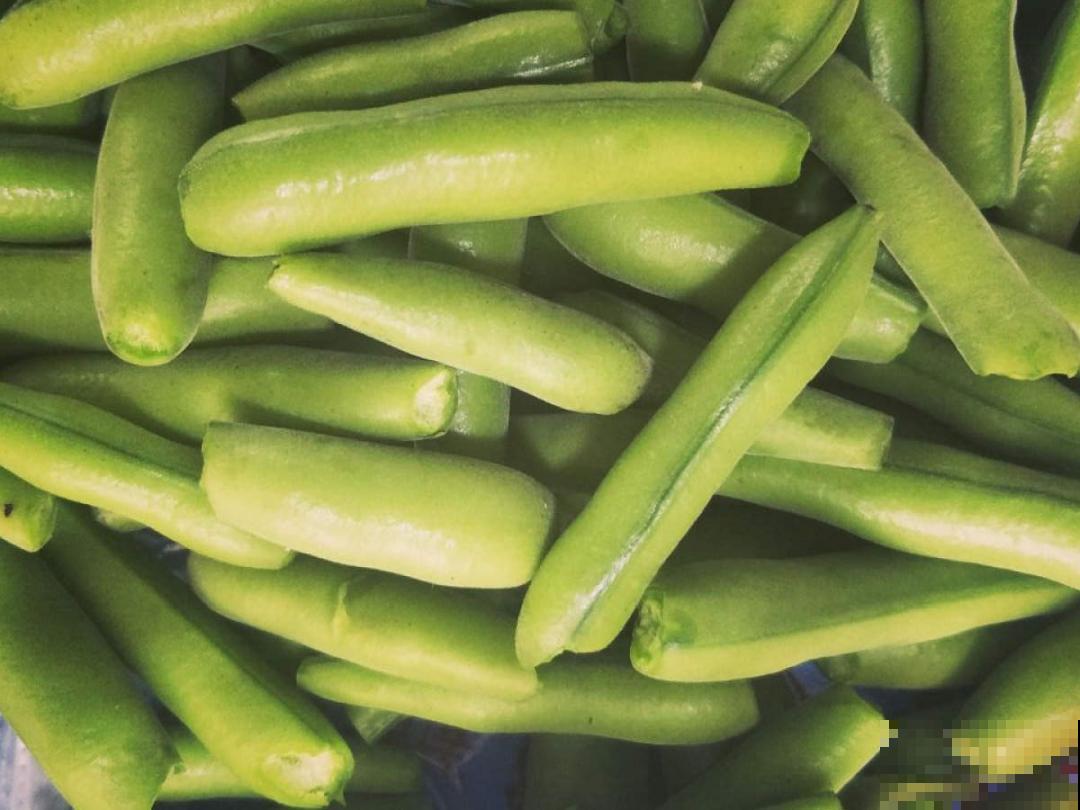 植物搬出门，痛快淋场雨，植物越来越旺