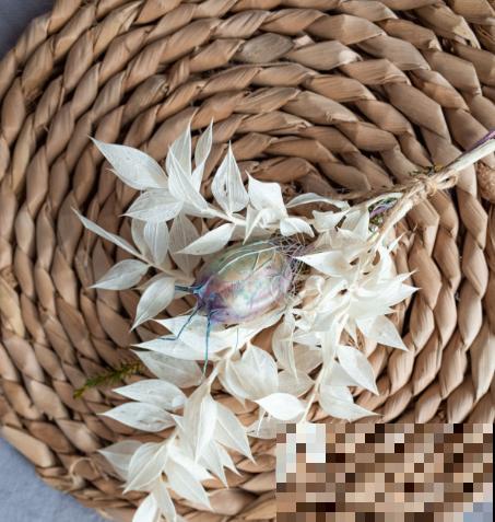 分不清永生花和干花？学会制作干花，让花期无限延长