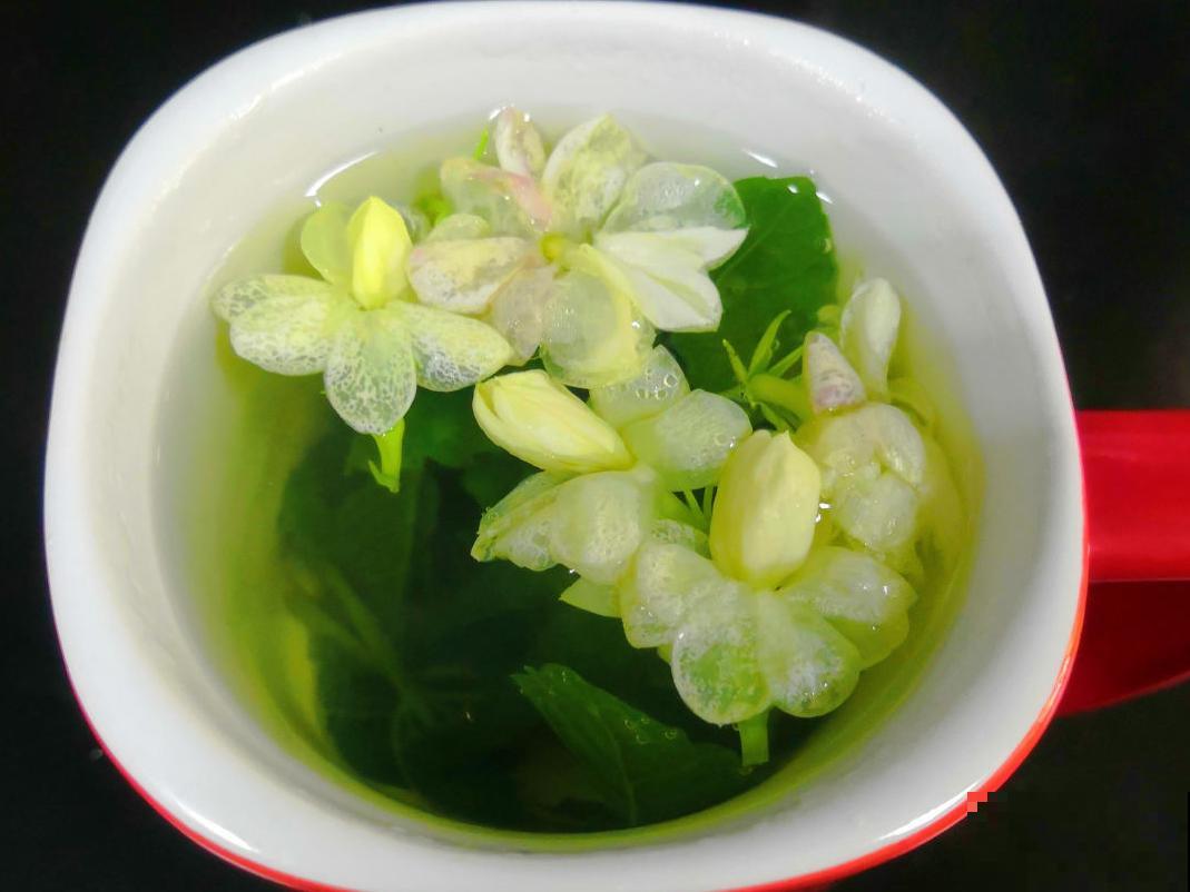 活的“香水花”,夏天一直开,满院子都是花香 活的“香水花”,夏天一直开,满院子都是花香
