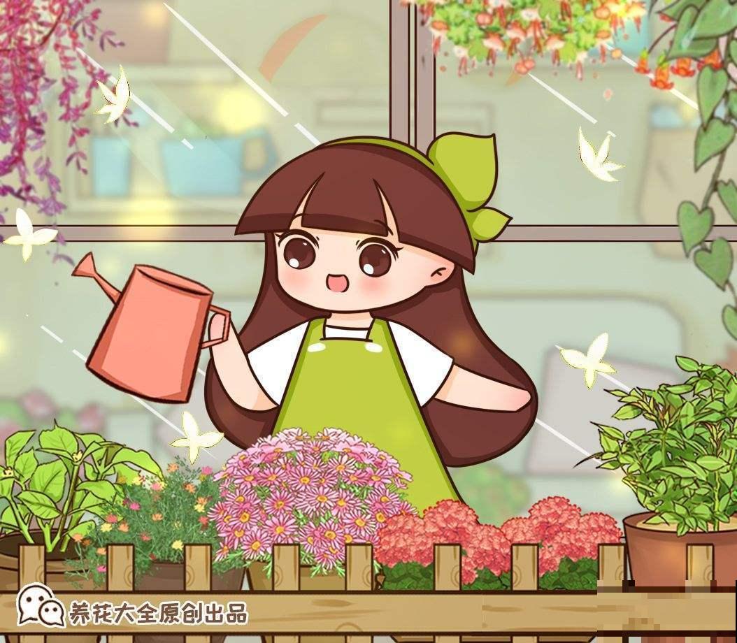 3种“四季花”，养起来简单还好看，让家里四季如春