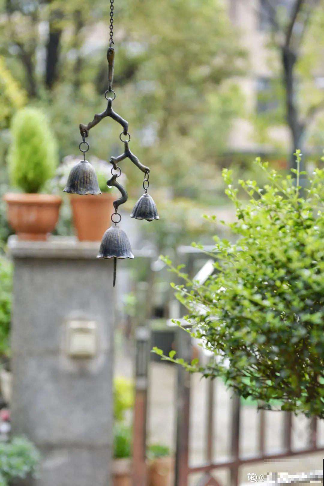 有个小院种种菜，养点花草，忘记半生喧嚣