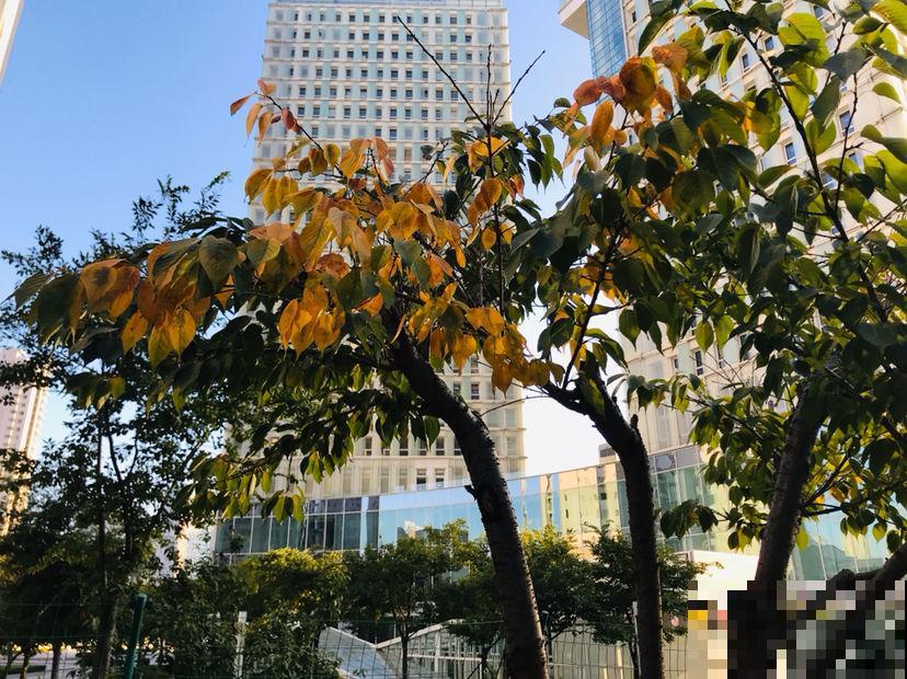 秋后最困扰的事儿，就是大把掉头发，6个妙招改善掉发