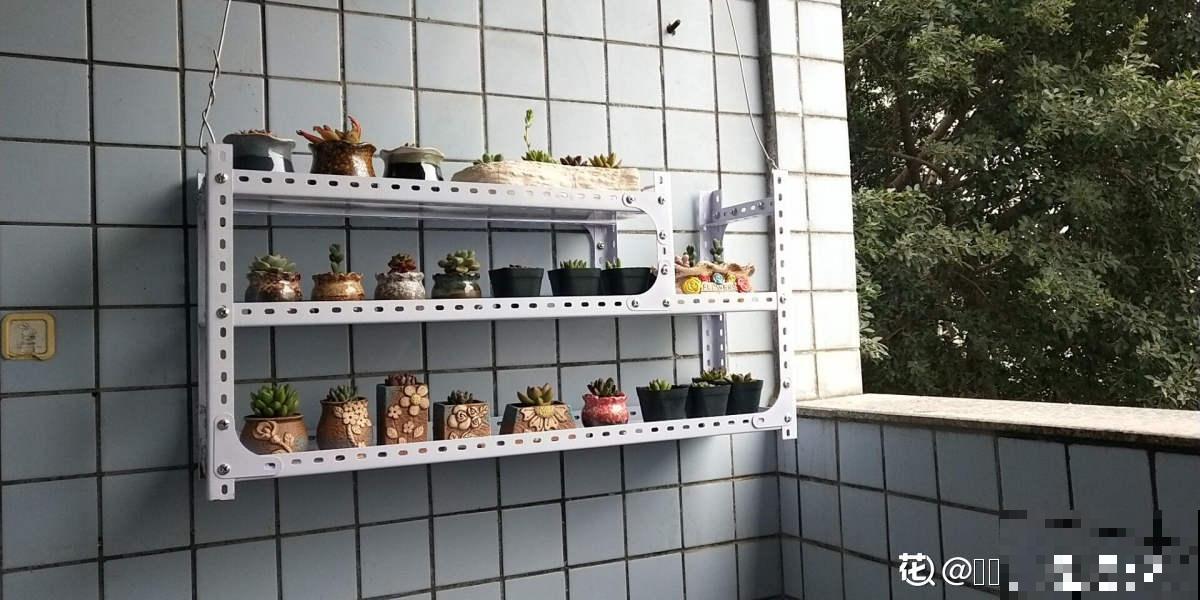 增加养花幸福感的“伴侣”，这3种必不可少，很容易就买到