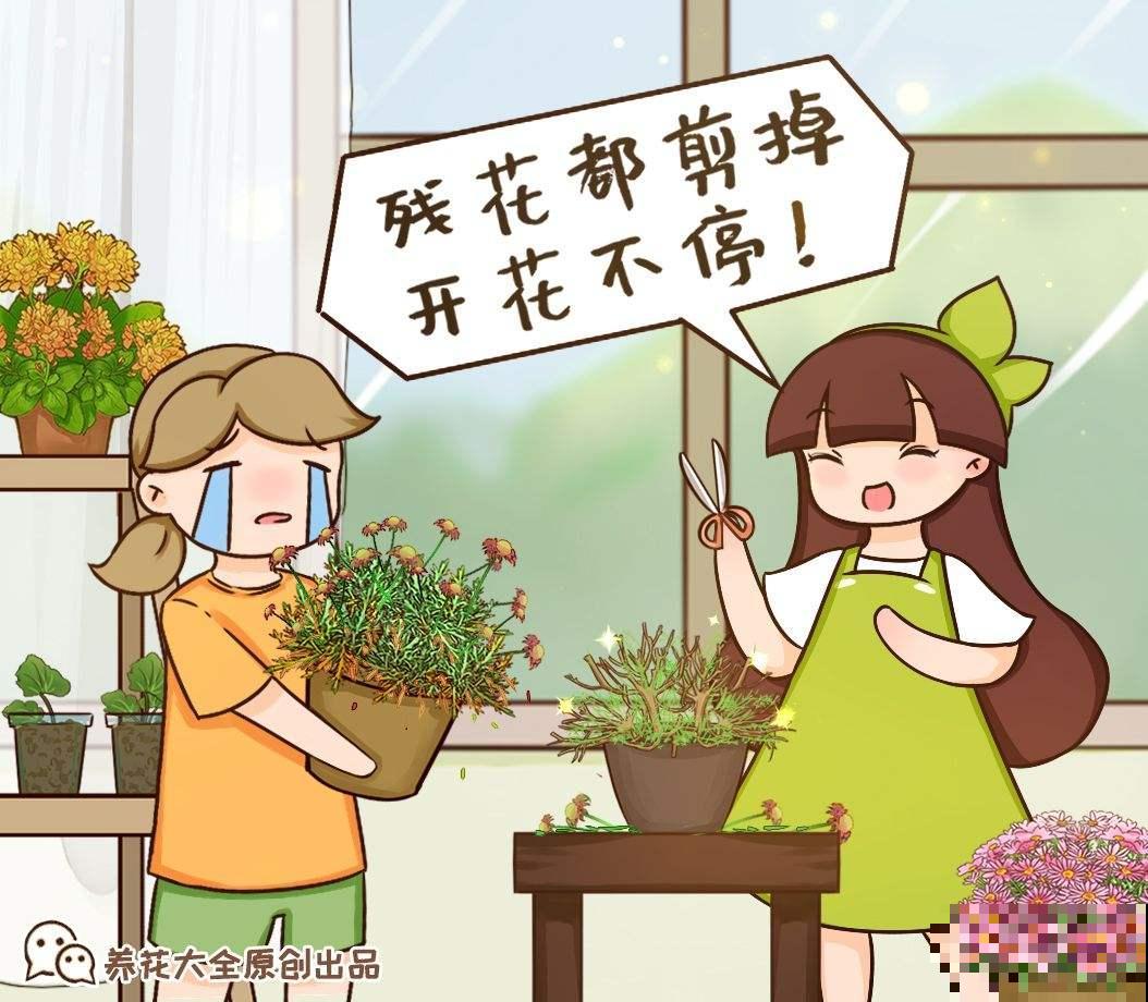 植株“中暑”如何救治？教你从4个方面出手，分分钟“妙手回春”