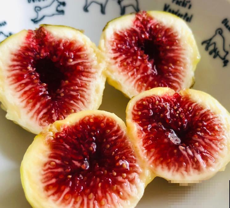 无花果一吃就上瘾，又软又甜，止咳润肺助消化！
