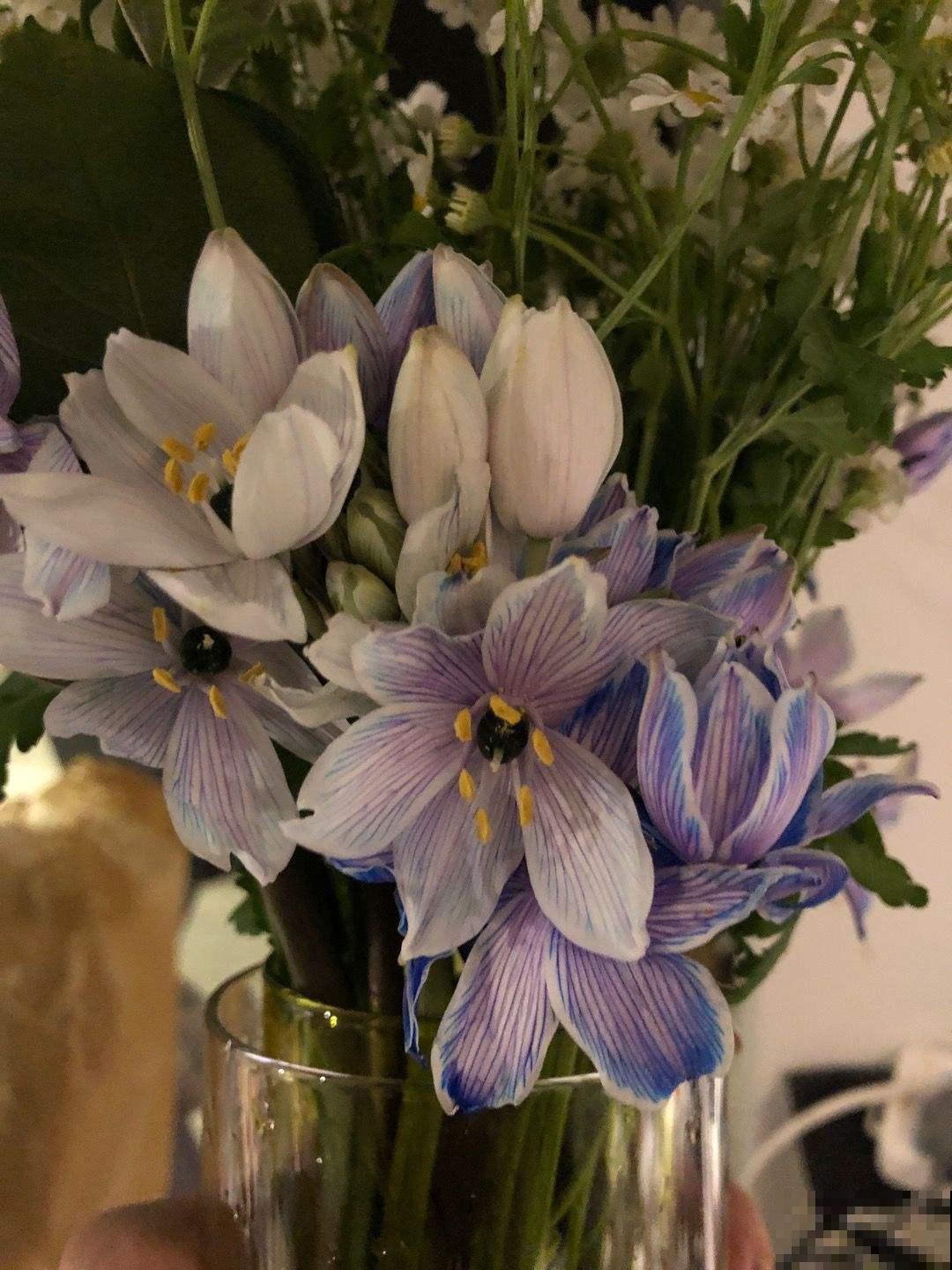 100种常见花,今天终于知道叫什么名了,建议收藏 100种常见花,今天终于知道叫什么名了,建议收藏