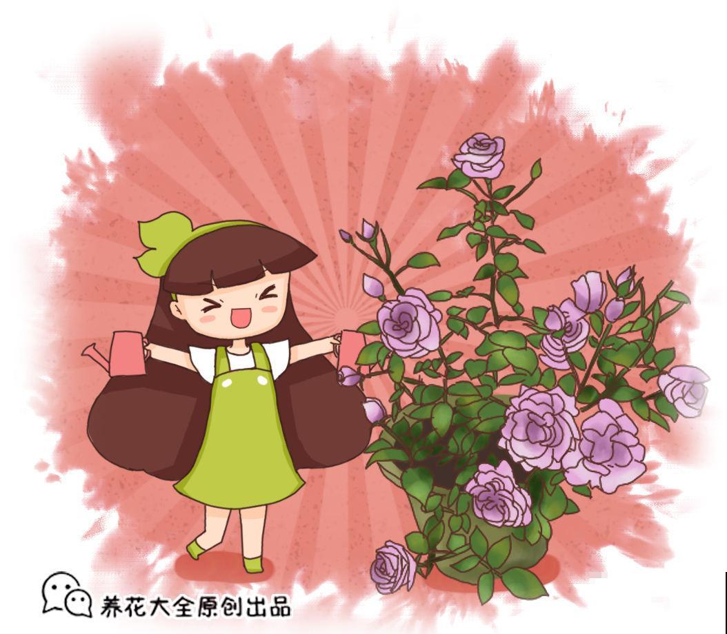 天热懒人养花必备的3种花，非常好打理，花点心思就能活