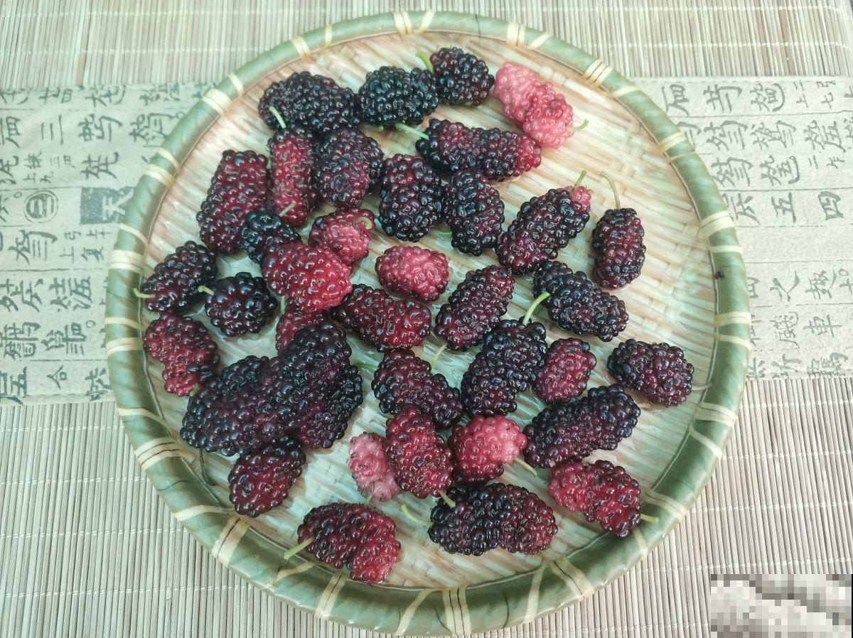 家中就能养的4种水果,好吃又好养,不用自己买水果了 家中就能养的4种水果,好吃又好养,不用自己买水果了