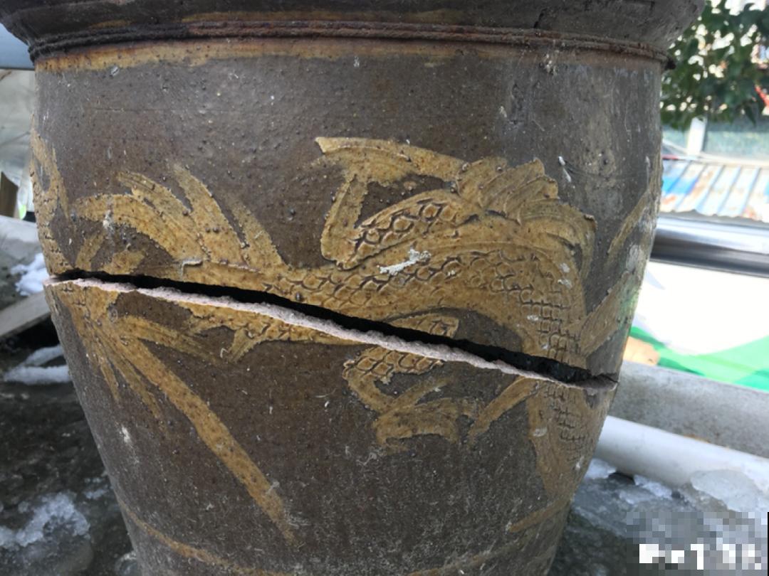 农村捡个大水缸，种点碗莲仙气十足，人见人爱