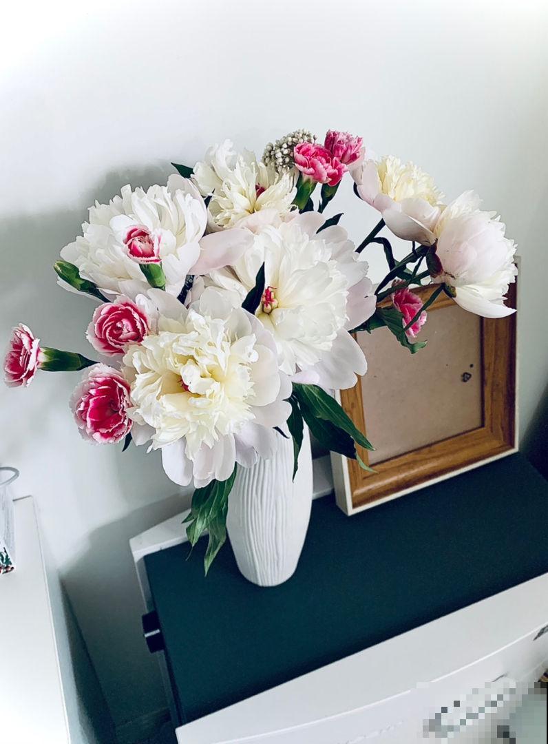 5月在家养株“花神”，开花比牡丹还美，插水里就能活