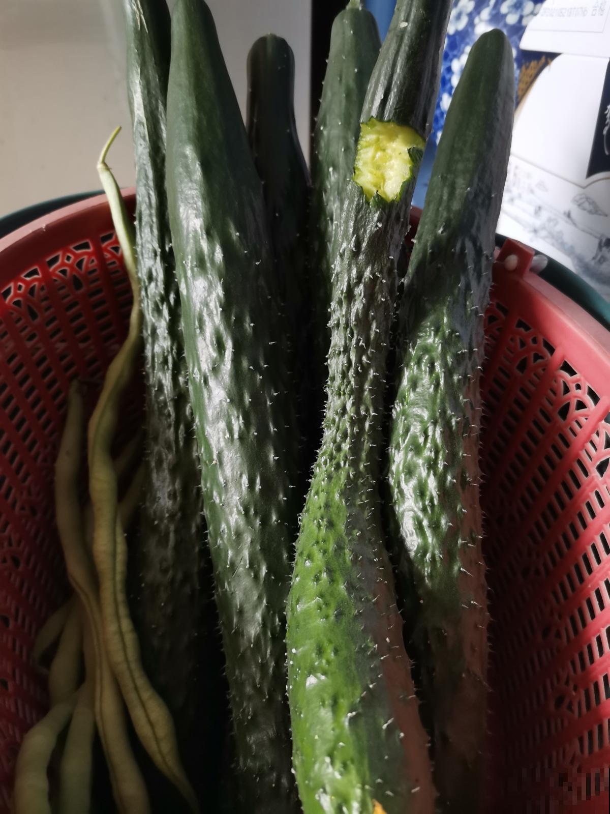 老人常说夏吃瓜，入夏就要多吃4种瓜，凉血去火对身体好