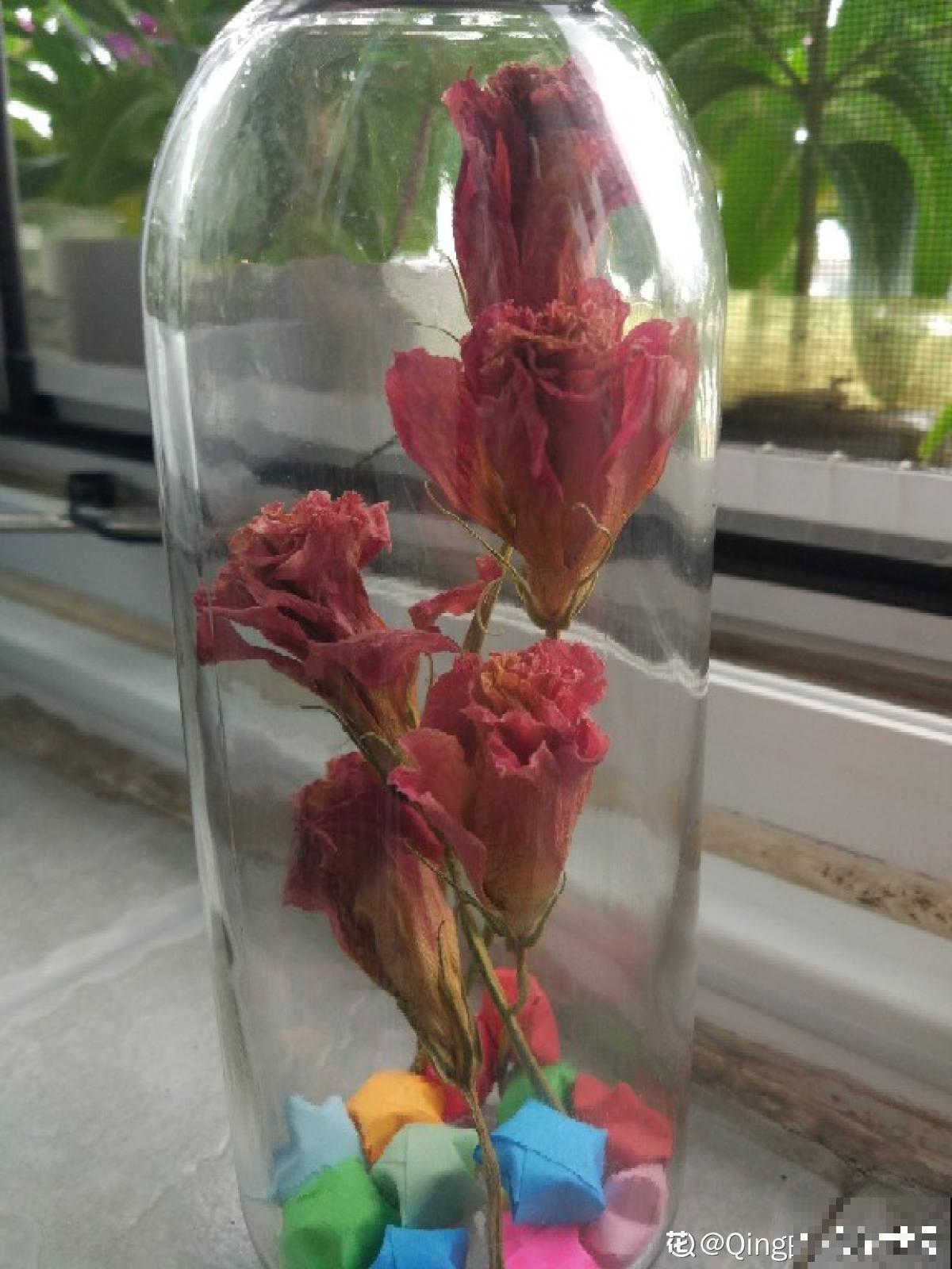 分不清永生花和干花？学会制作干花，让花期无限延长