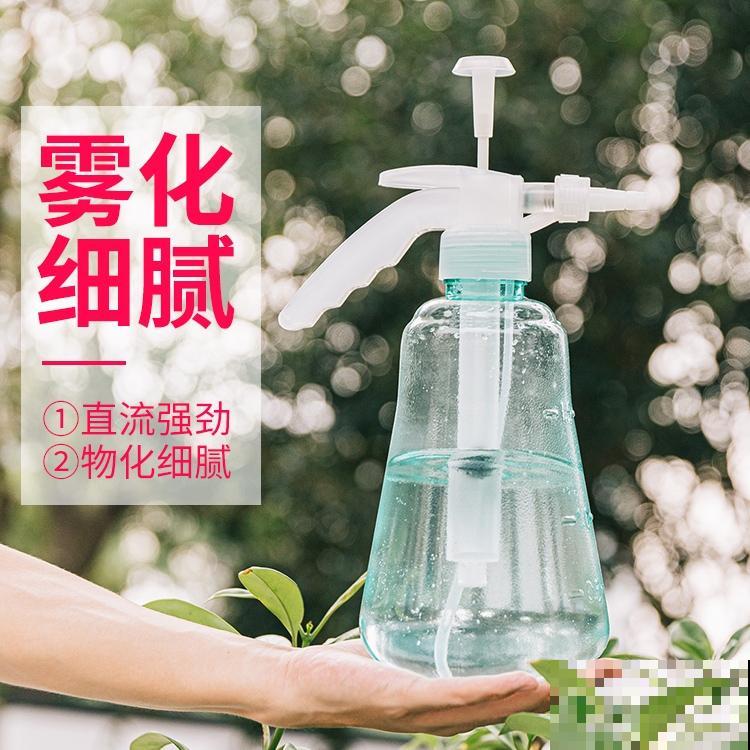 铁树开花只是成语？不，铁树真能开花，但要讲求方法