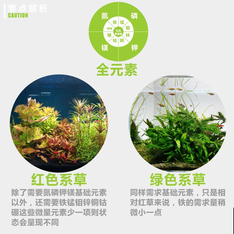 乔迁宴还是得送花!这5种花选好了,友谊更坚固 乔迁宴还是得送花!这5种花选好了,友谊更坚固