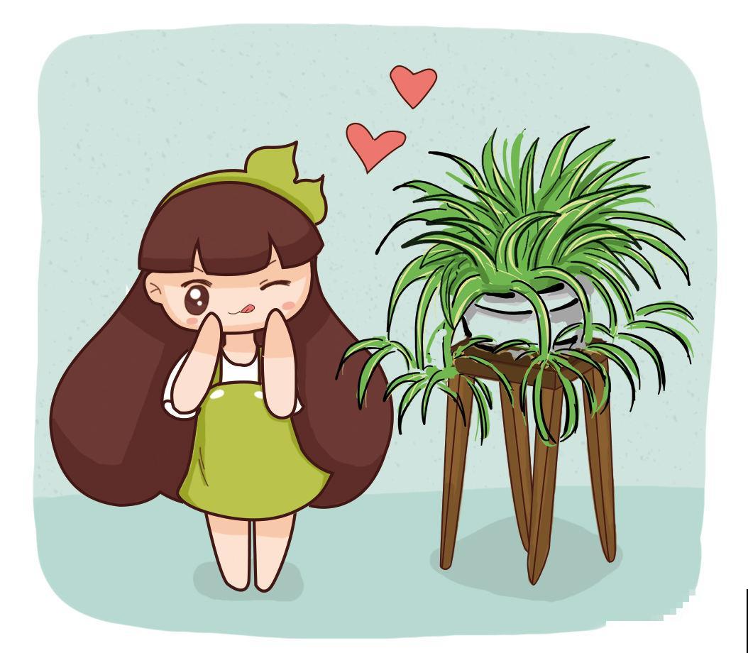 净化空气一把手，这5种植物家中常备，没有的赶紧抱回家