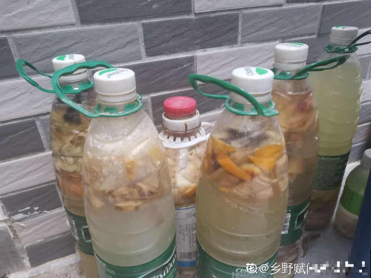 养花用点“酸酸水”,花长得特旺,叶子绿得直滴油 养花用点“酸酸水”,花长得特旺,叶子绿得直滴油